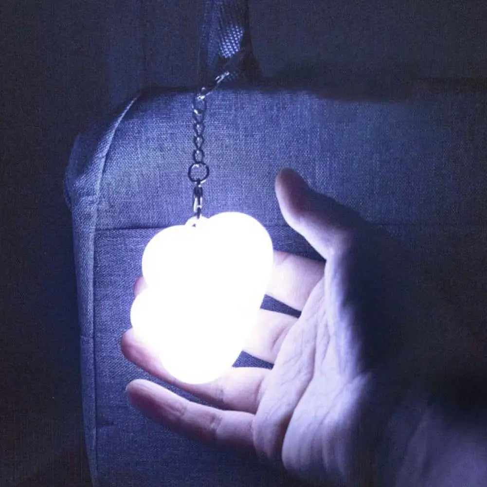 LED Purse Light